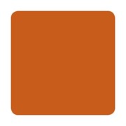 Eternal - Burnt Orange